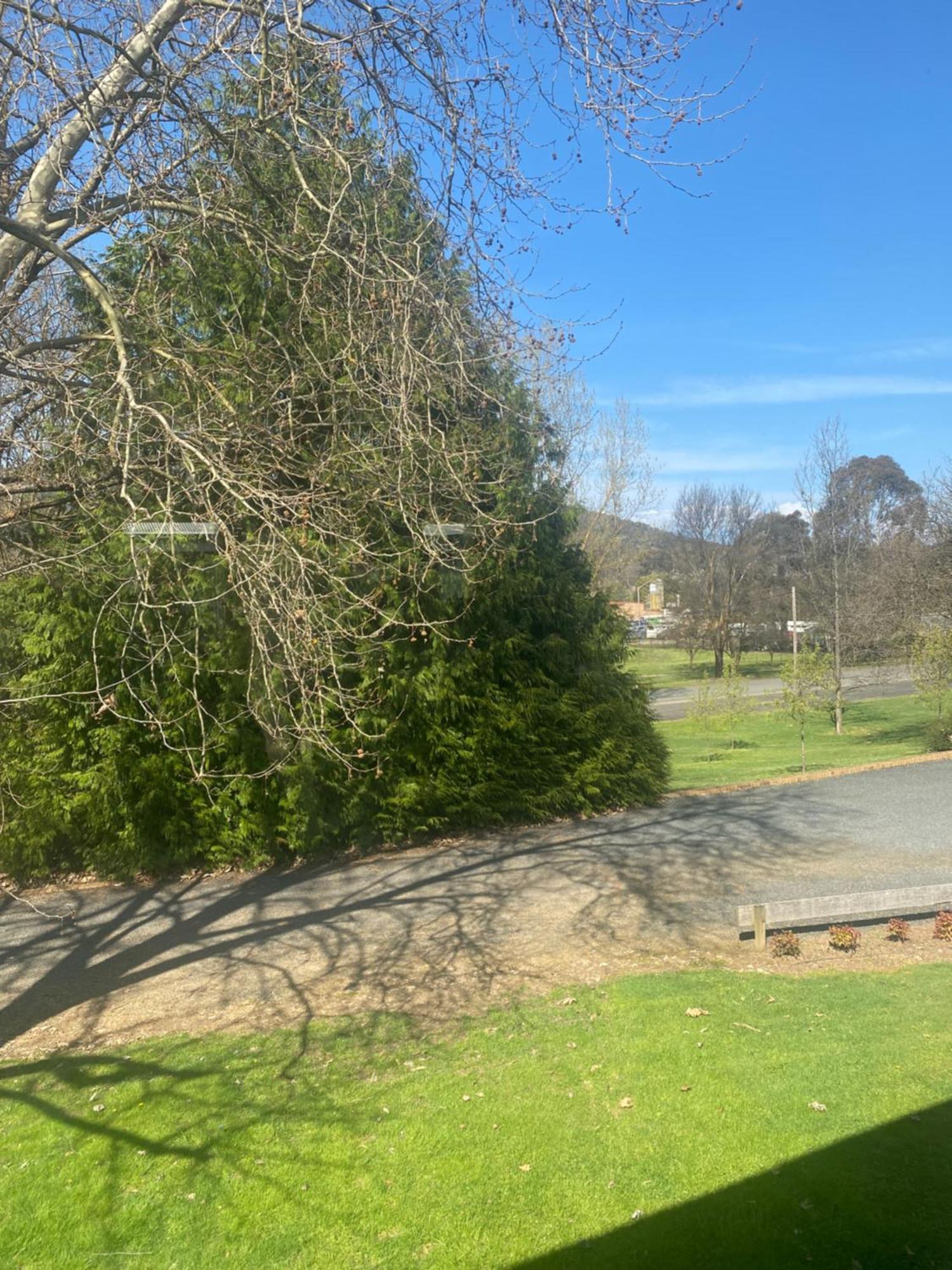 Tumbarumba Motel & Elms Restaurant Esterno foto